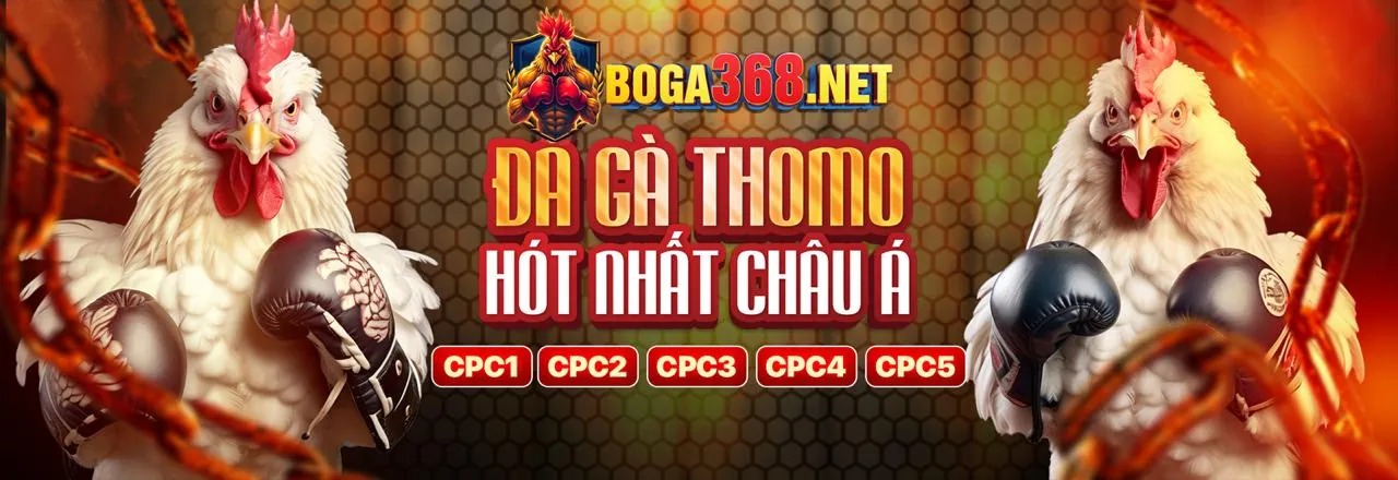 Chiến lược cá cược nâng cao tại 88clup